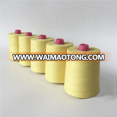 20s/2/3 30s/2/3 40s/2/3 Aramid Nomex Fireproof Thread for Fireproof Suit Indoor Fabric